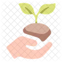 Ecology Environment Planting Icon