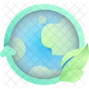 Ecology  Icon