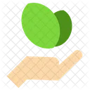Ecology  Icon