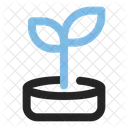 Ecology  Icon