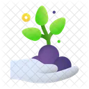 Ecology  Icon