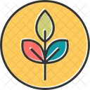 Ecology  Icon