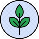 Ecology  Icon