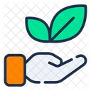Ecology  Icon