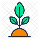 Ecology  Icon