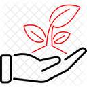 Ecology  Icon