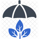 Ecology Leaf Nature Icon