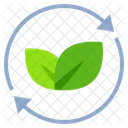 Conservation Green Recycle Icon