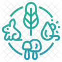 Ecosystem  Icon