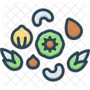 Noix Sain Fruit Sec Icône