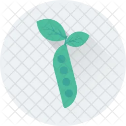 Edamame  Icon