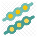 Edamame Grain Protein Icon