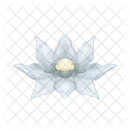 Edelweiss  Icon