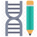Dna Dna Structure Science Icon