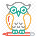 Education Owl Graduation Icon