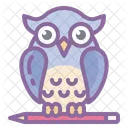 Education Owl Graduation Icon