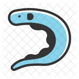 Eel  Icon