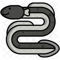 Eel  Icon