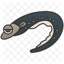Eel Sea Culture Fish Icon