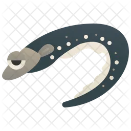 Eel  Icon