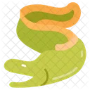 Eel Seafood Sea Snake Icon
