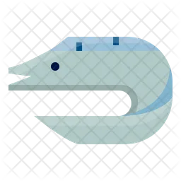 Eel Fish  Icon