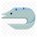 Eel Fish  Icon