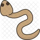 Eels  Icon