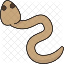 Eels  Icon