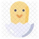 Egg Hatch Chicken Icon