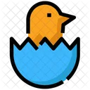 Spring Egg Chick Icon