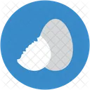 Egg Boiled Poultry Icon