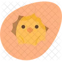 Egg Hatching Chick Icon