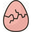 Egg Cracked Hatching Icon