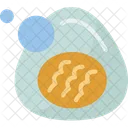 Egg Boiled Food Icon