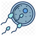 Egg And Sperm Sperm Fertilization Icon