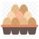 Egg Carton  Icon