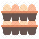 Egg Carton  Icon