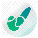 Egg decoration  Icon