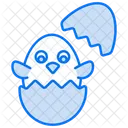 Egg Hatch Eggshell Chick Hatched Icon