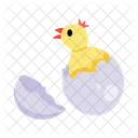 Hatching Egg Hatching Baby Chicken Symbol