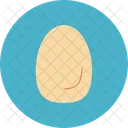 Egg Icon Icon