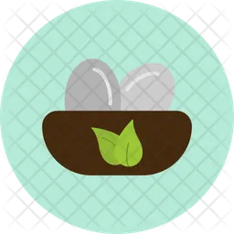 Egg Nest  Icon