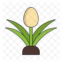 Egg Plant Vegetable Healthy Icon
