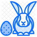 Egg Rabbit Egg Rabbit Icon