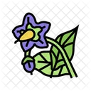 Eggplant Flower  Icon