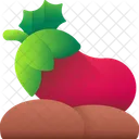 Eggplant Vegetable Food Icon