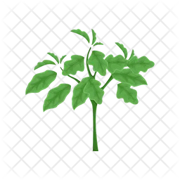 Eggplant Plant  Icon