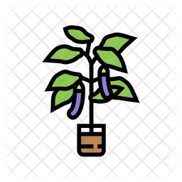 Eggplant Pot  Icon