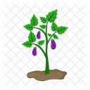 Eggplant tree  アイコン